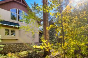 092491e0-3f48-4b70-9a18-3ac466664f54