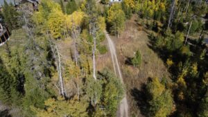 a79c48f3-b839-4e16-9499-643e95019ae1