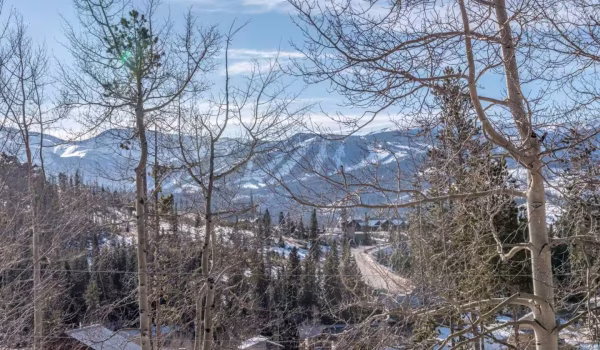 8e5d4a4f-9fce-4476-a9f9-0d02632f98c4